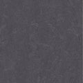 Marmoleum Click Cinch LOC 12 P60426