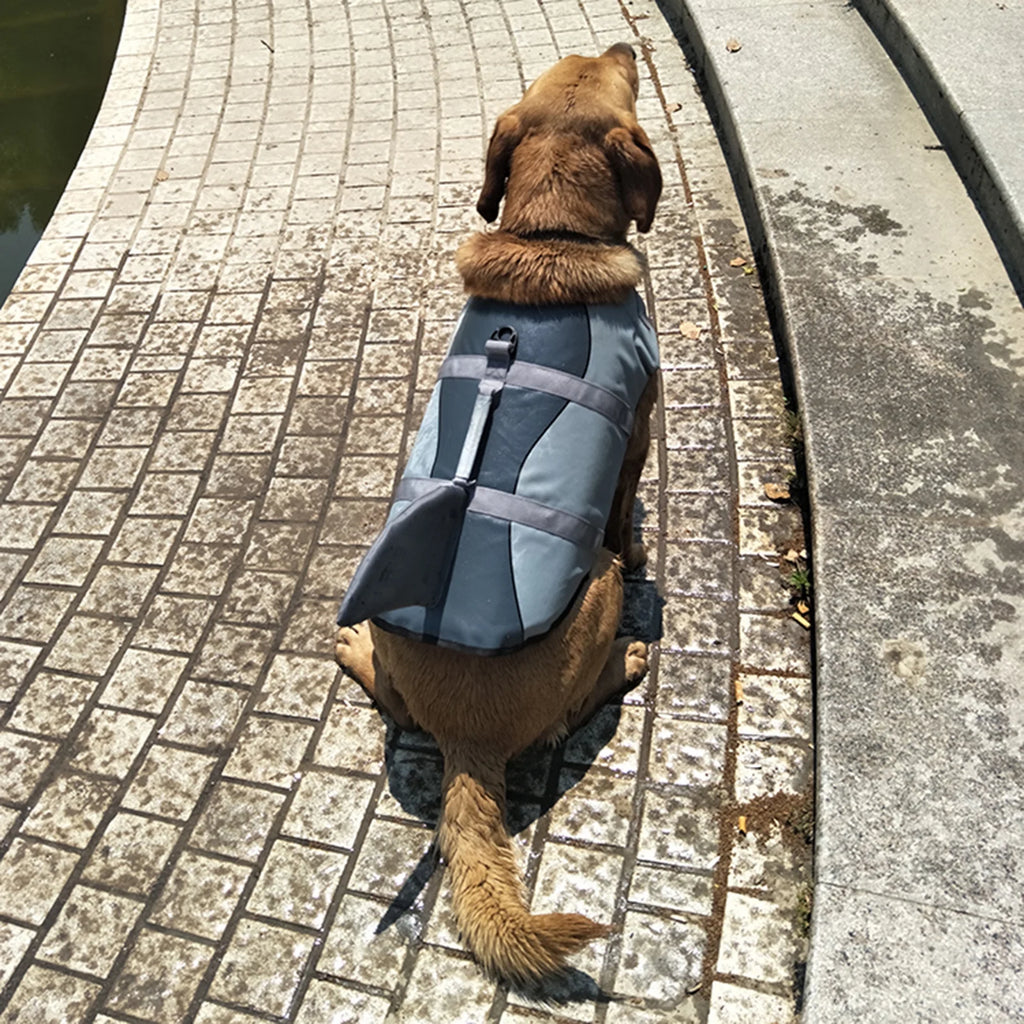 Dog Pet Shark Swimsuit Vest Safety Wear H406586