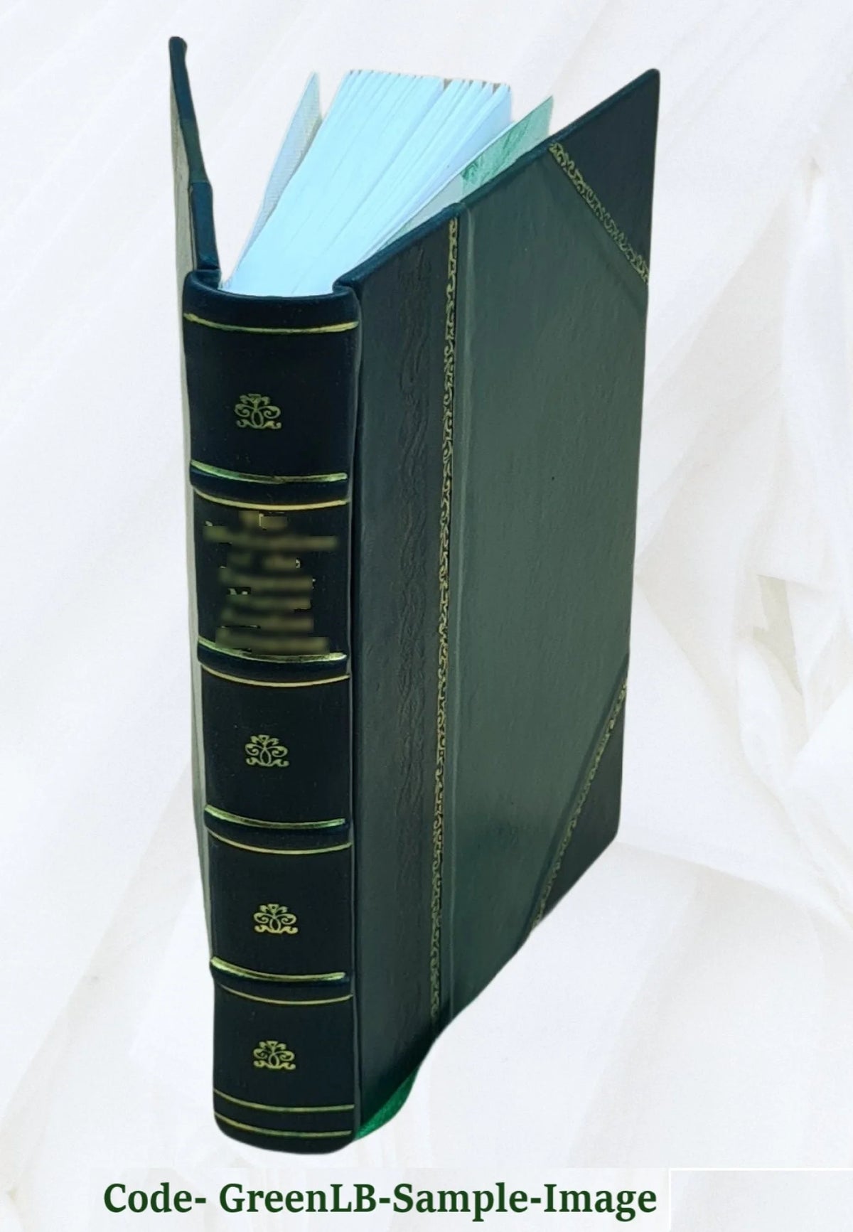 The Æneid of Virgil 1902 Leather Bound V94515