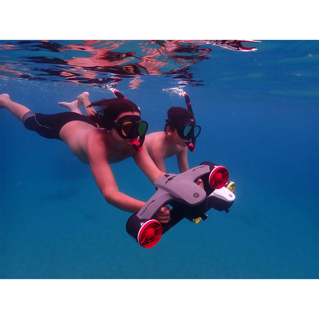 Carbon Red Seawing B247