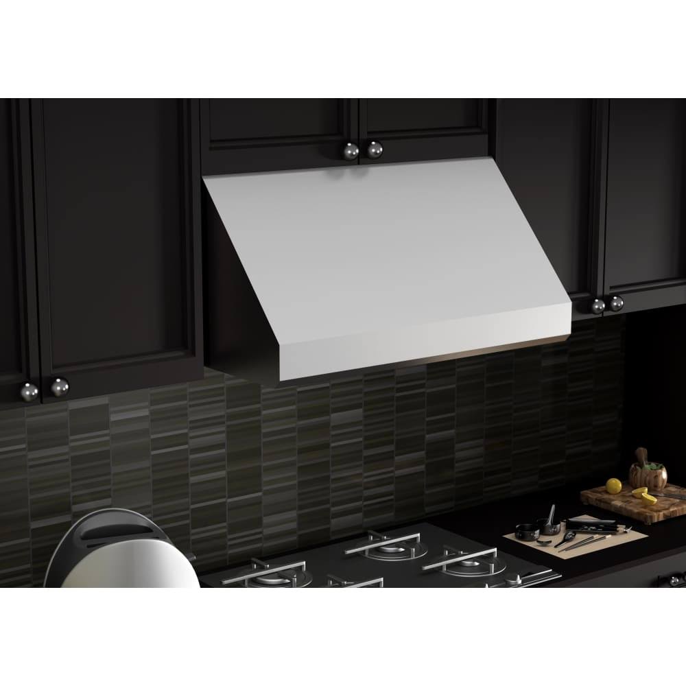 36 in. 1200 CFM Under Cabinet Range Hood in Stainless Steel U31808