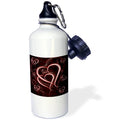21 oz Sports Water Bottle D715709