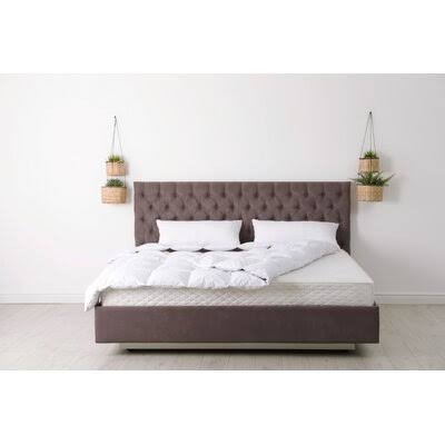 10” Medium Memory Foam Mattress Twin XL O18248