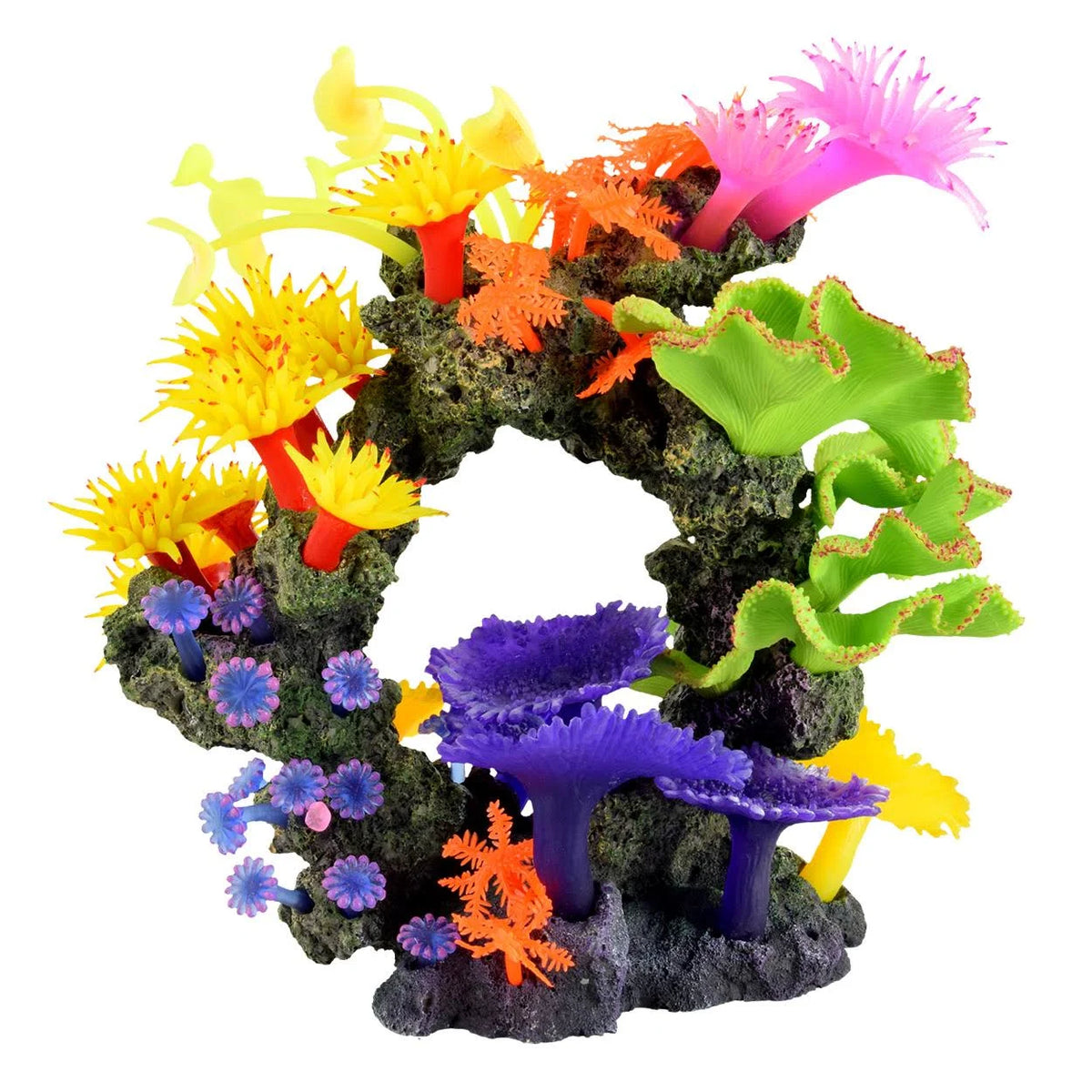 Coral Cave W455
