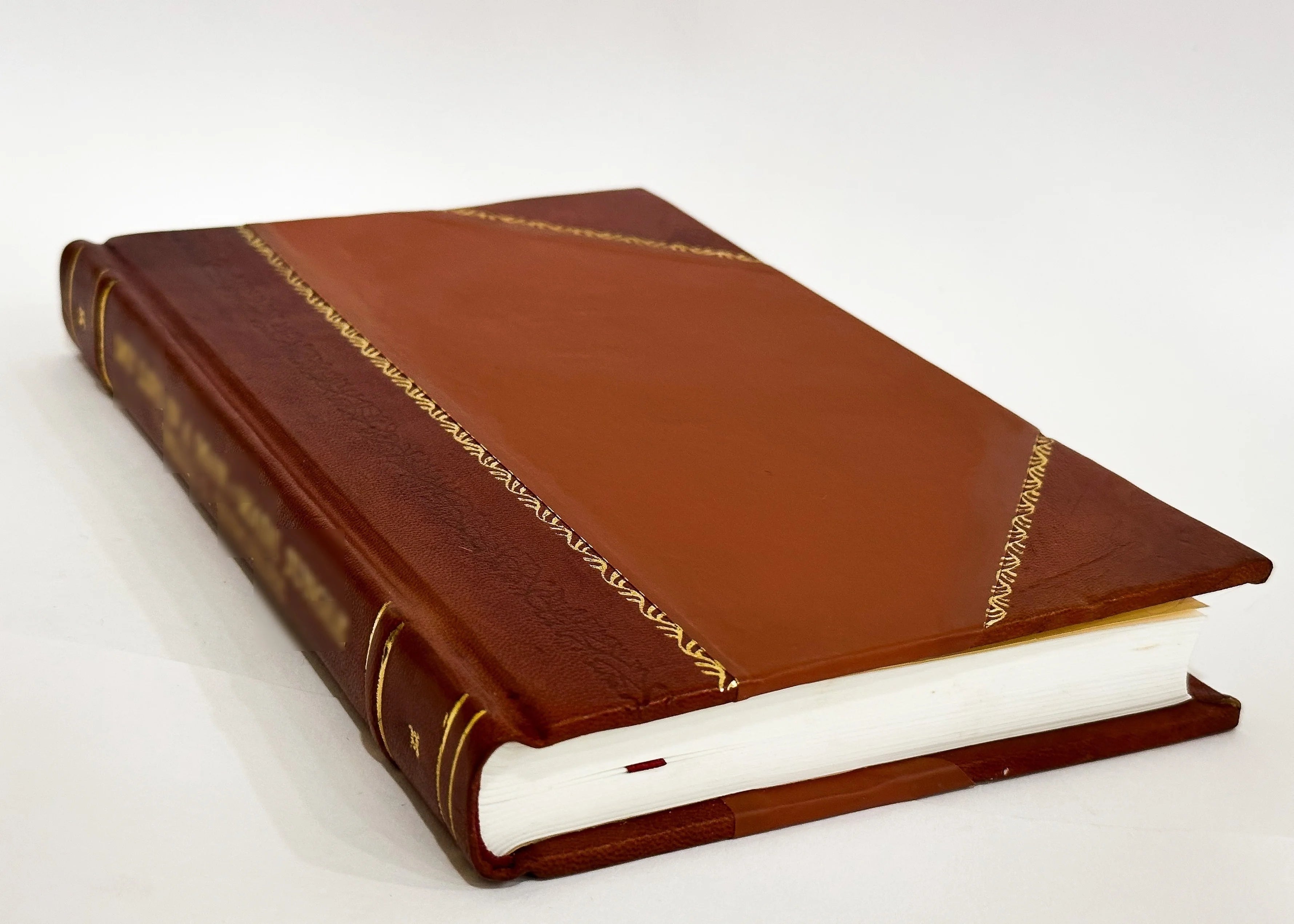 Leather Bound Book R113997