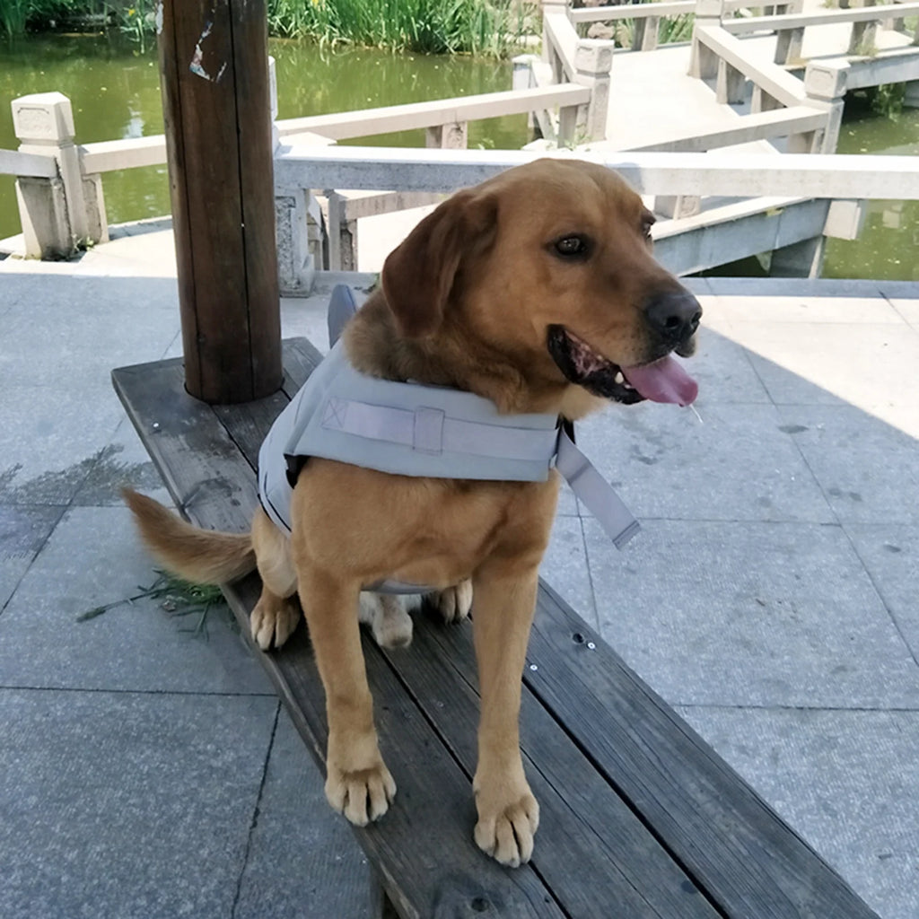 Dog Pet Shark Swimsuit Vest Safety Wear H406586