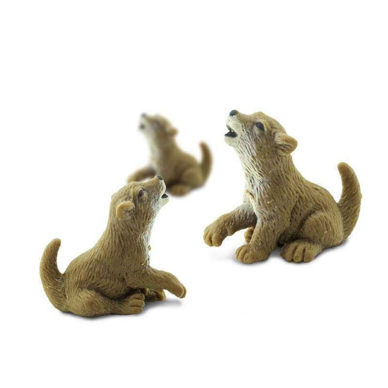 Raptors W460507