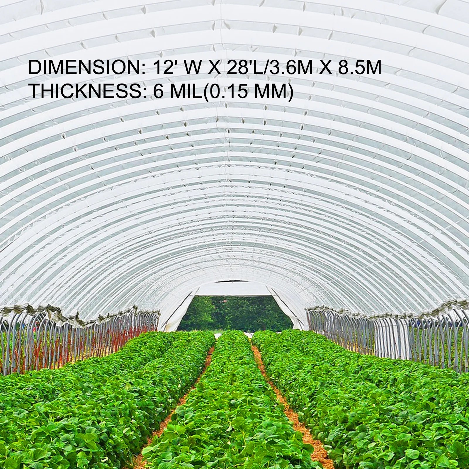12x28 ft 6 Mil Polyethylene Greenhouse Film E44222