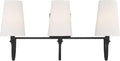 3-Light Bathroom Vanity Light X8596