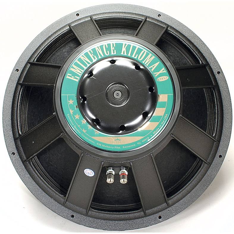 18A Stage Speaker T256