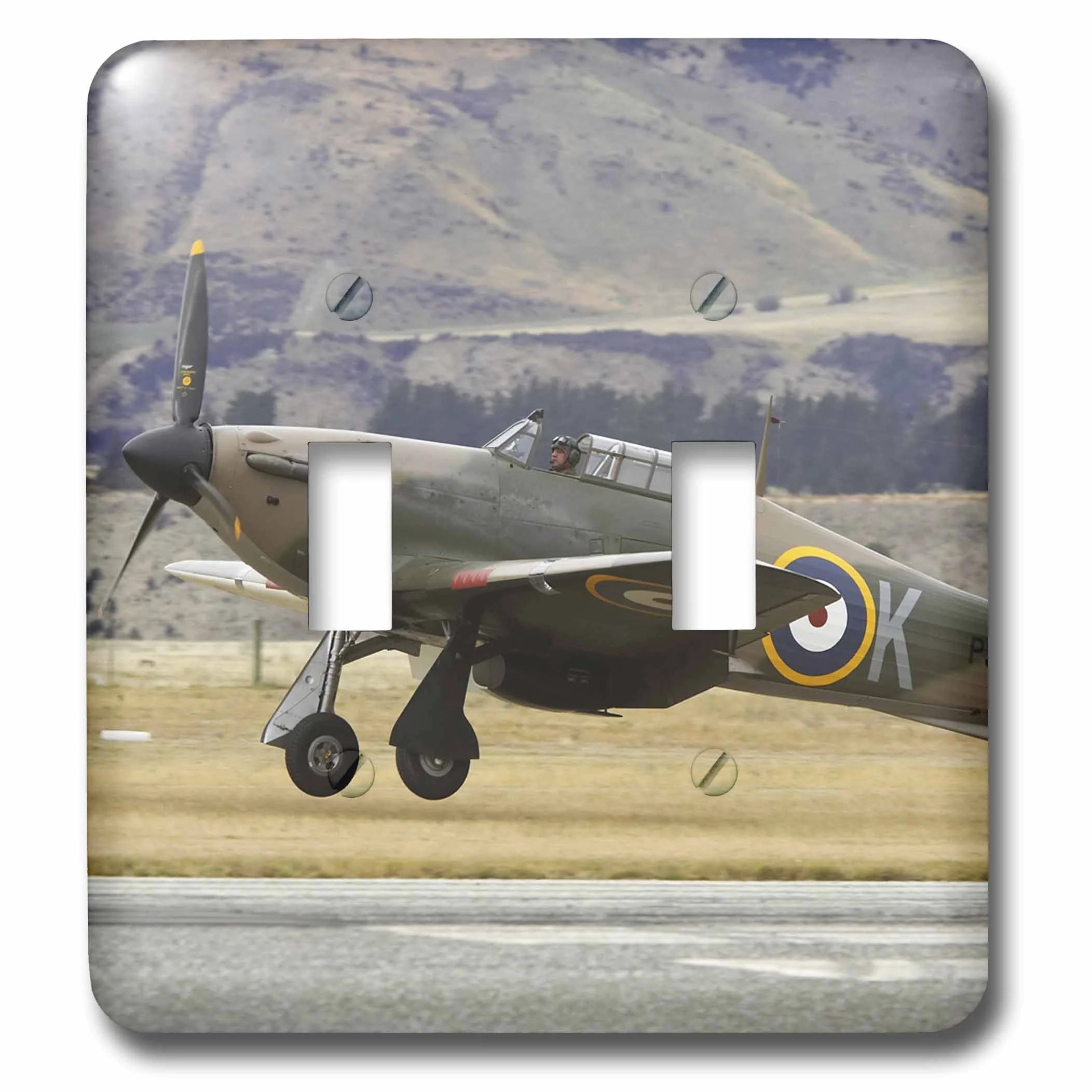 Double Toggle Switch E6138
