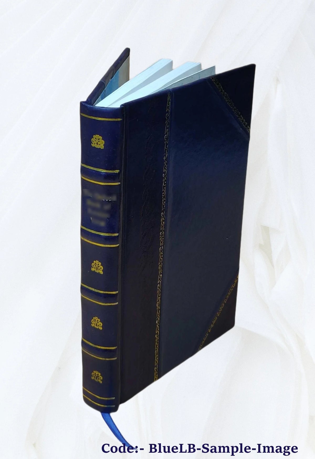 Leather Bound Annual Report of the Board of Park Commissioners of the City of Saint Paul. Volume 14-18 (1904-08) 1908 I563481