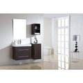 Walnut Finish Wall Mounted Cabinet with Shelf A36862