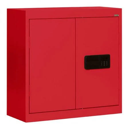 Keyless Electronic Wall Cabinet K491