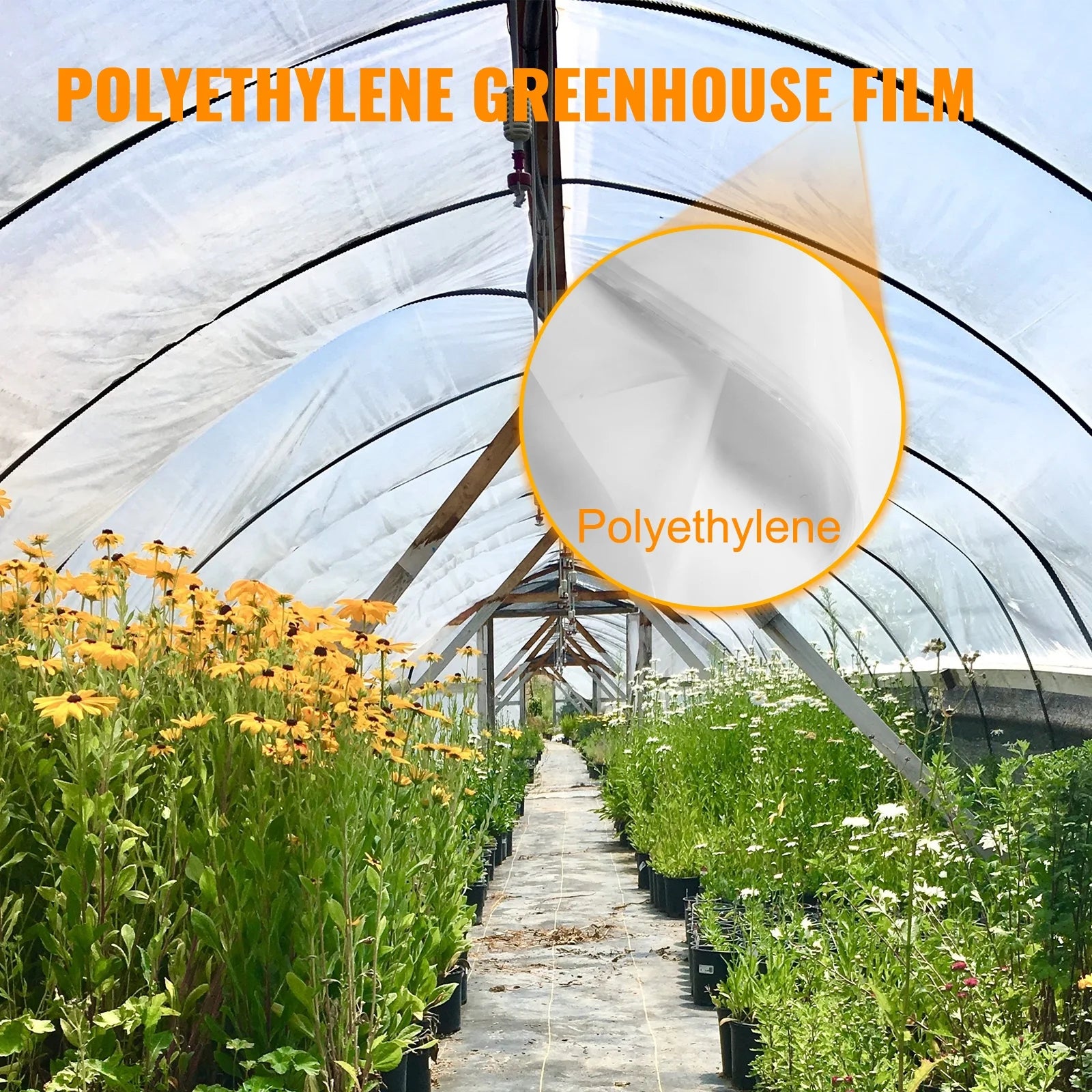 12x28 ft 6 Mil Polyethylene Greenhouse Film E44222