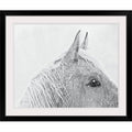 Black Frame Photographic Print B5564