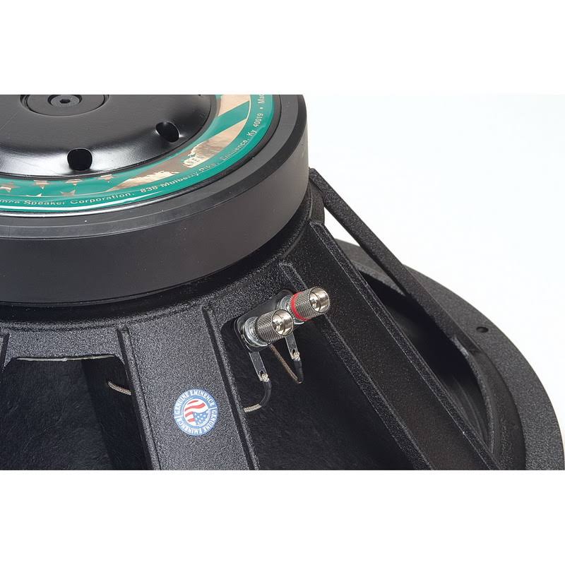 18A Stage Speaker T256