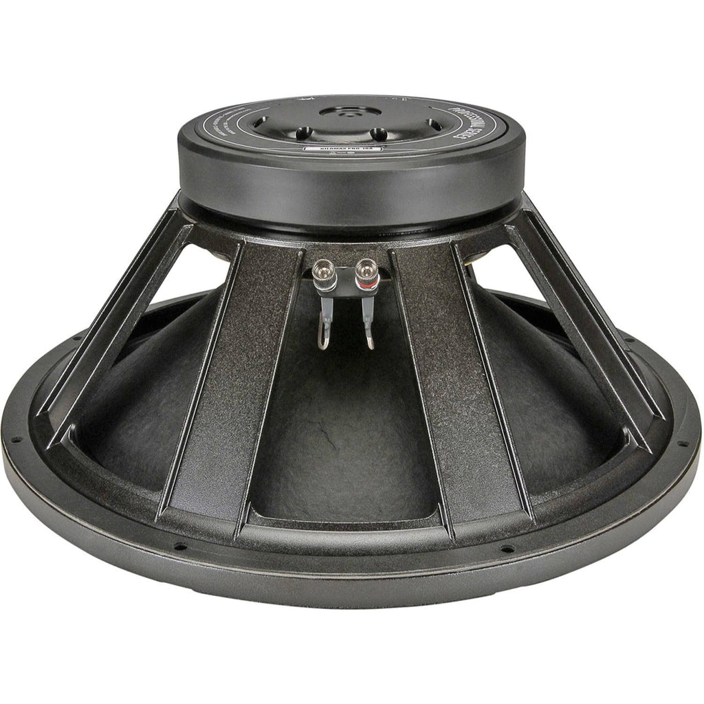 18A Stage Speaker T256