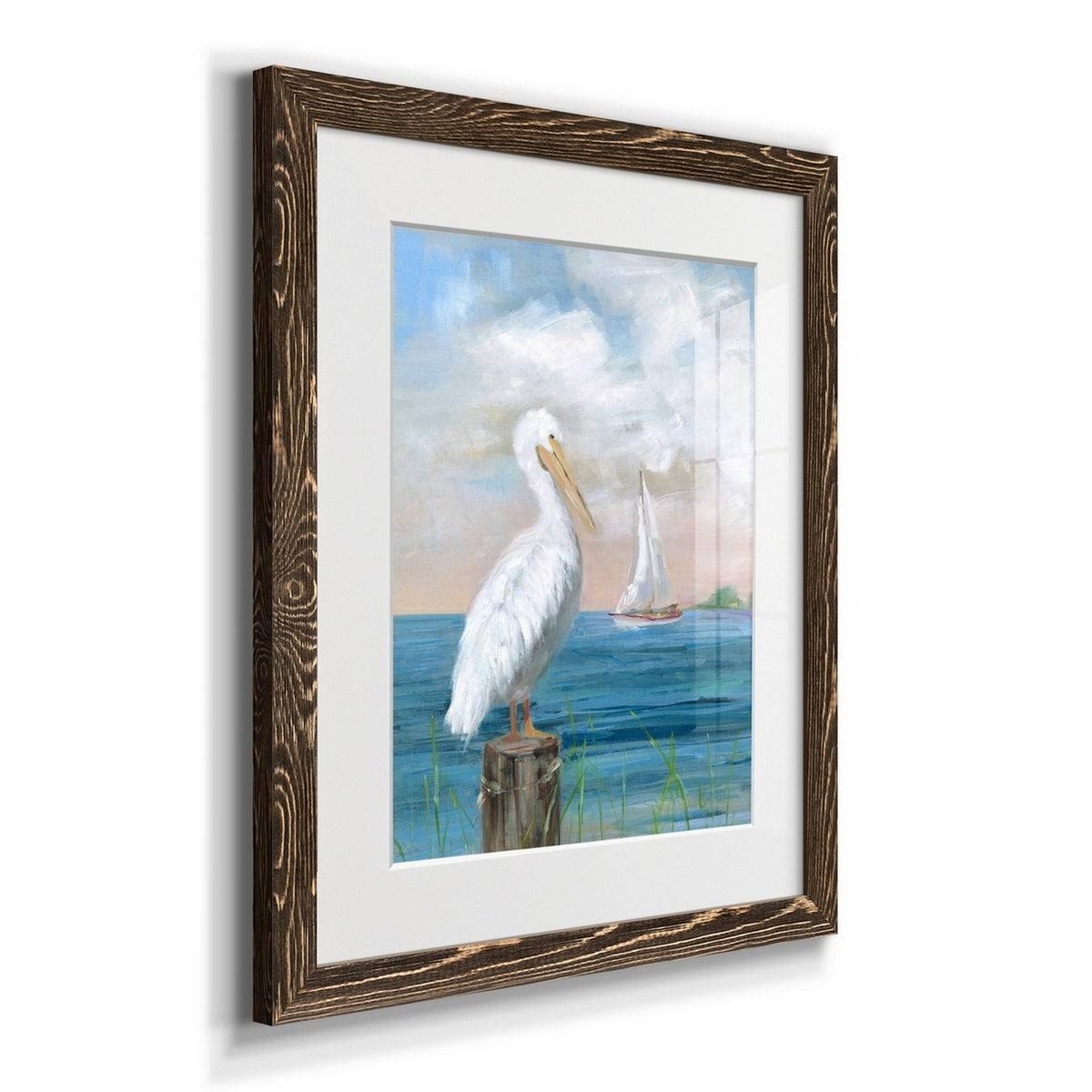 Maple Framed Print T74207