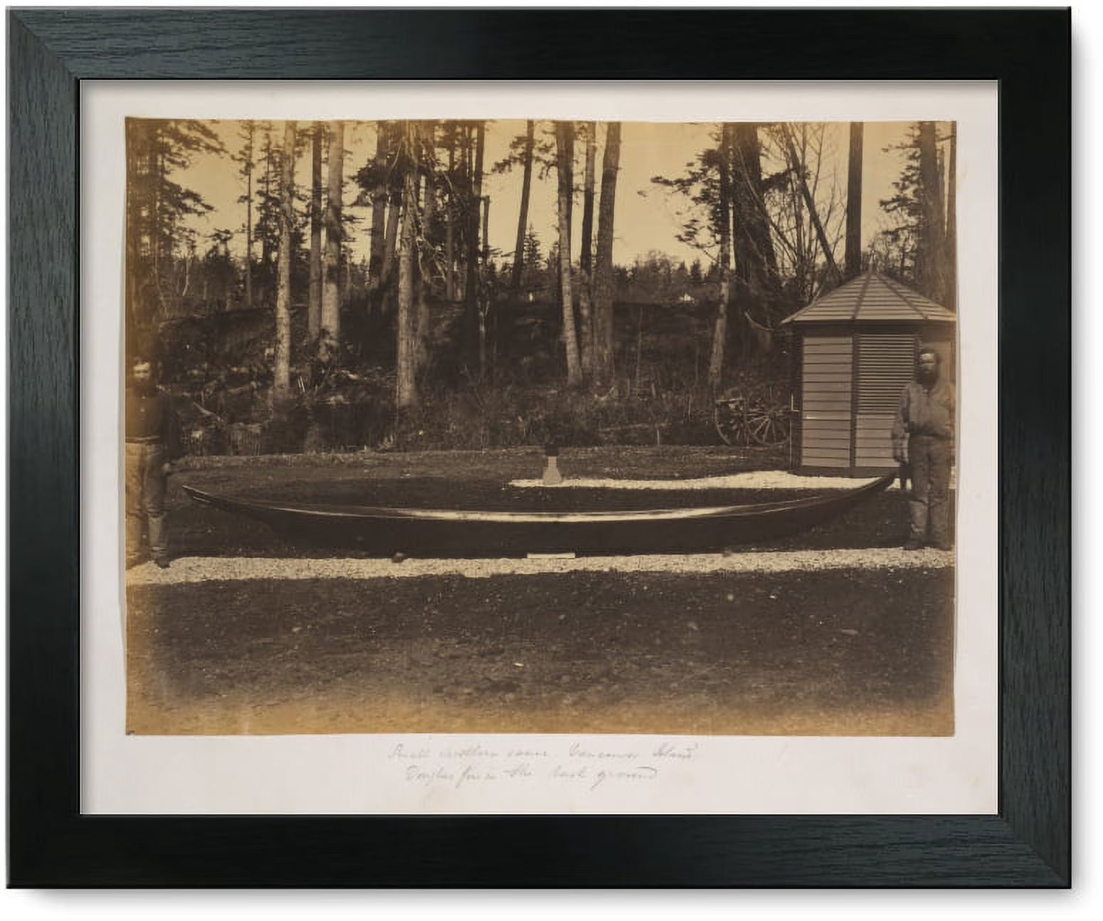 Framed Print: Small Northern Canoe, Vancouver Island - Douglas Firs X70287