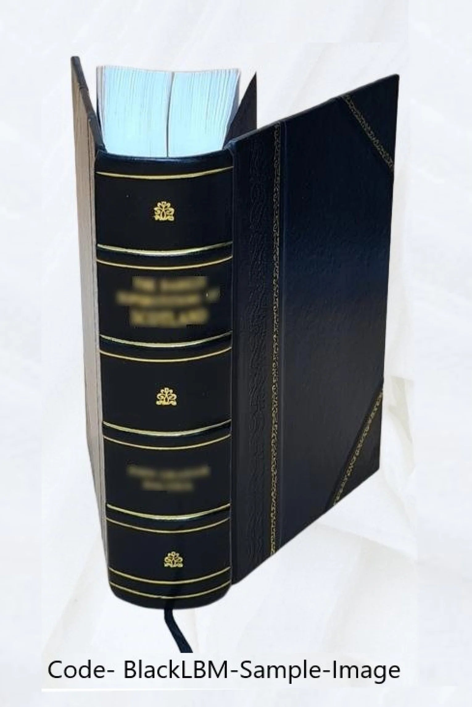 The Works of William Shakespeare Volume V.4 M484