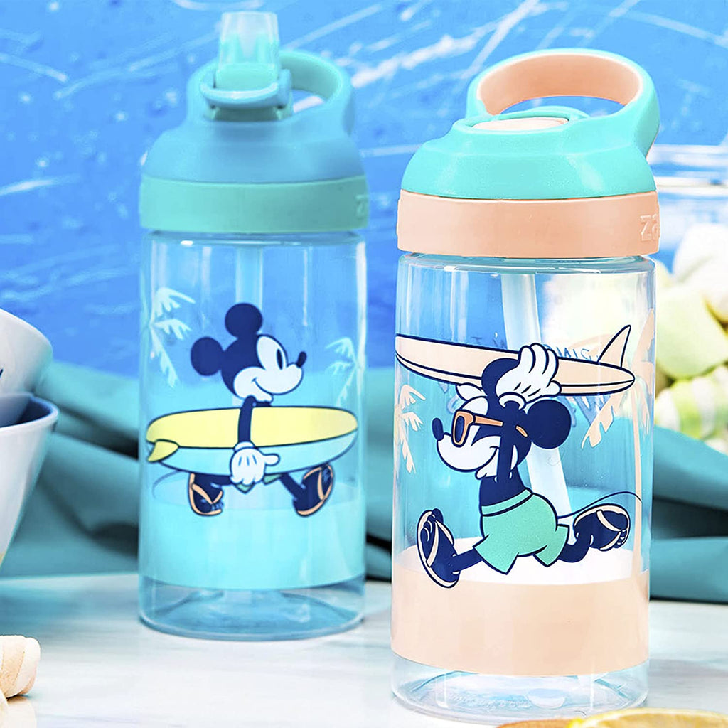 16oz 2 Pieces BPA-Free Plastic Kids Water Bottle with Straw G6542