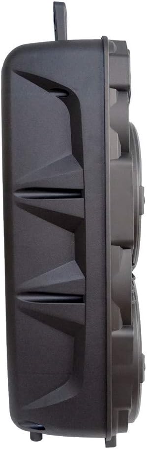 Portable Audio System with Rechargeable Battery, Bluetooth, Wireless Mic and Remote Control B90895