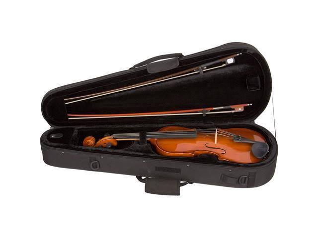 1/2 Size Violin Case L391420