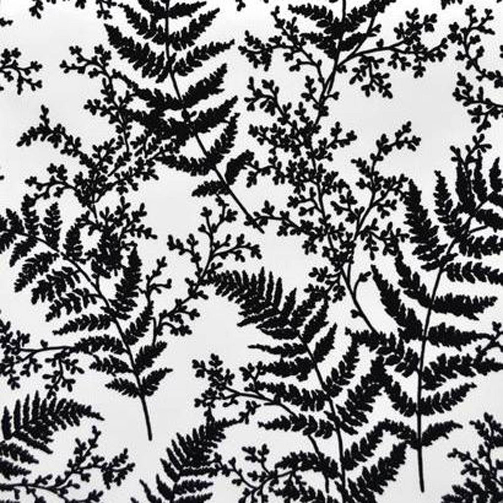 Forest Fern Wallpaper E346224