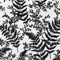 Forest Fern Wallpaper E346224