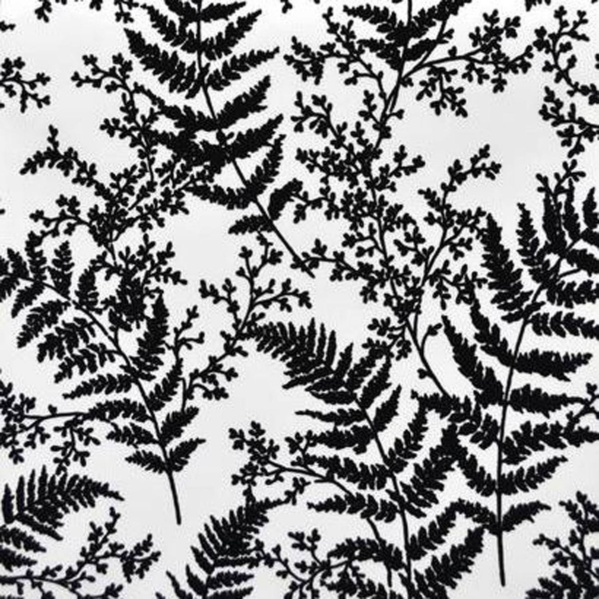 Forest Fern Wallpaper E346224