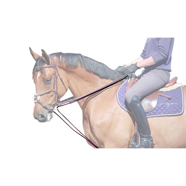 Leather/Nylon Draw Reins D207