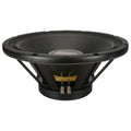 18A Stage Speaker T256