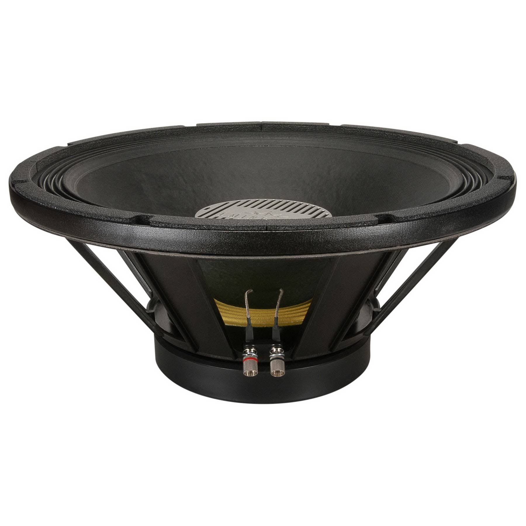 18A Stage Speaker T256