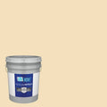 Semi-Gloss Exterior Paint (5-Gallon) R685671