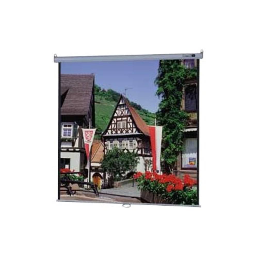 Projection Screen V217889
