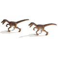 Raptors W460507