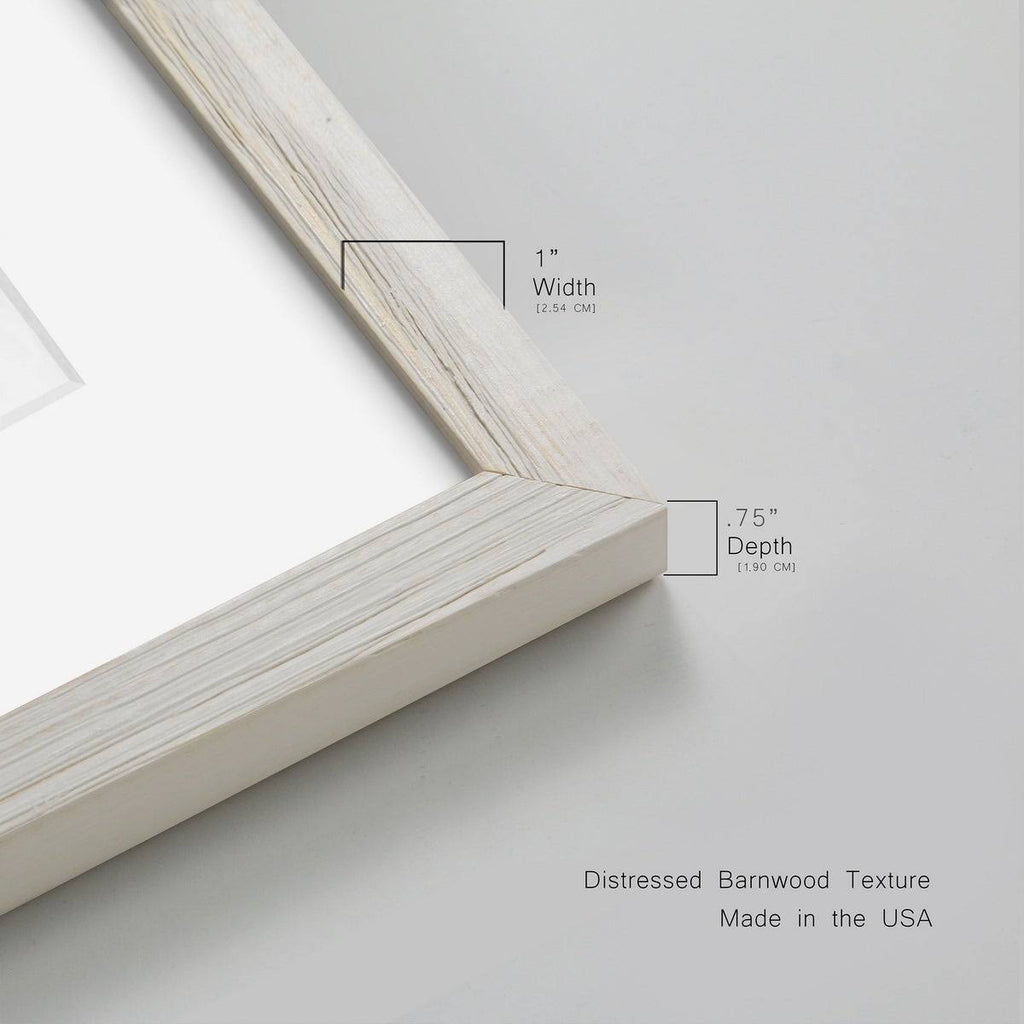 Maple Framed Print T74207