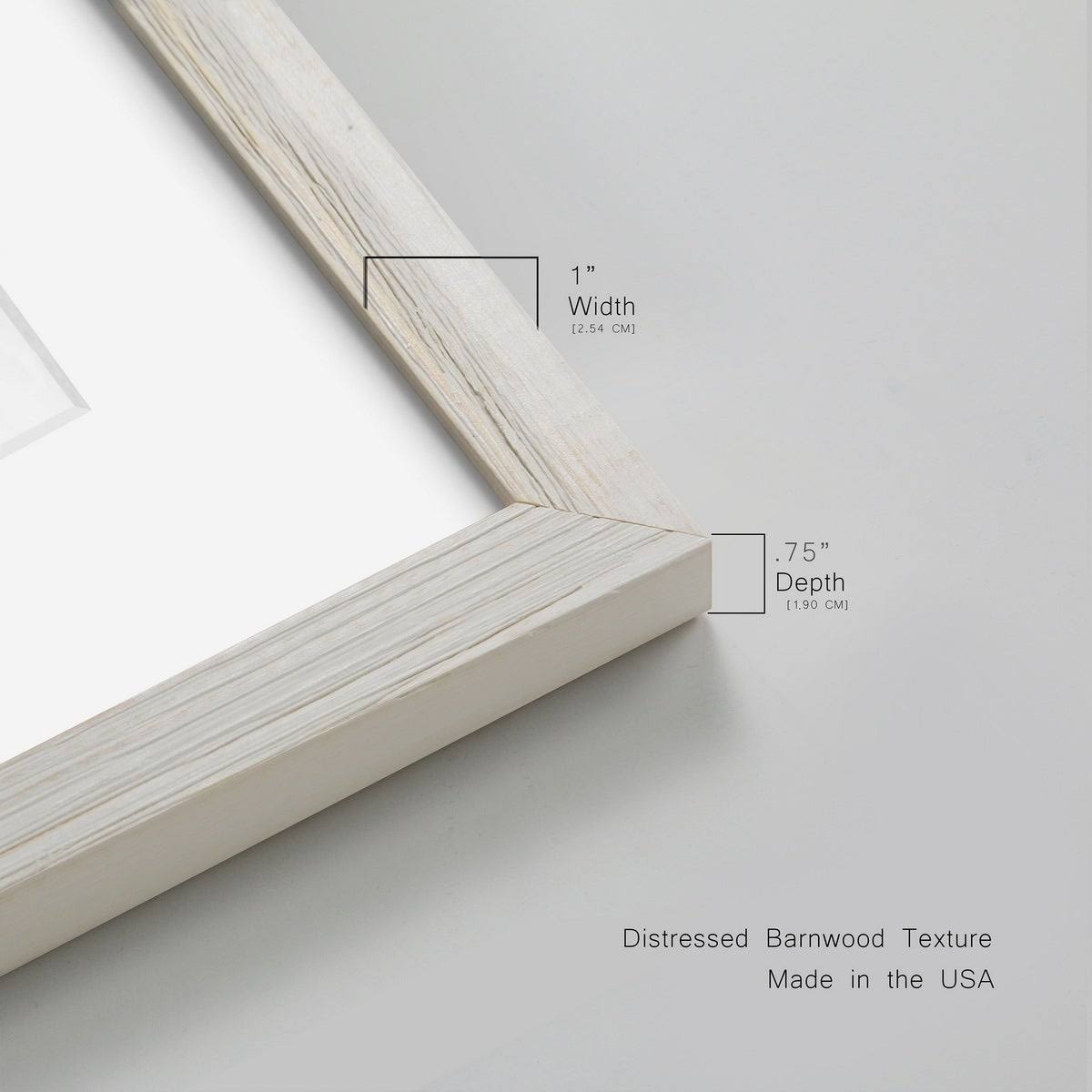 Maple Framed Print T74207